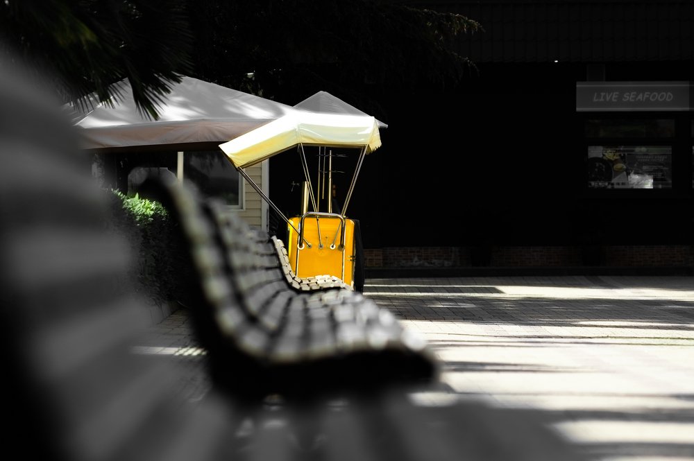 Photograph by Николай Абрамов