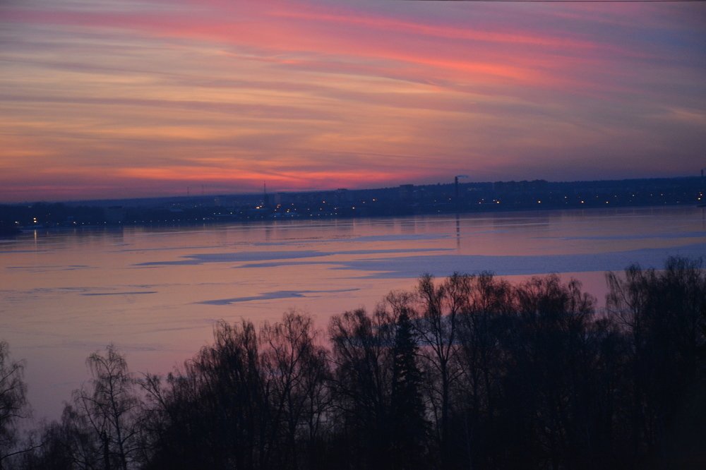 Фотография автора Елена Бракоренко