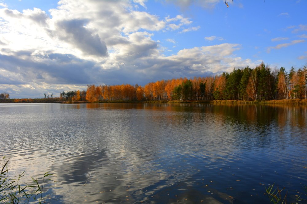 Фотография автора Елена Бракоренко
