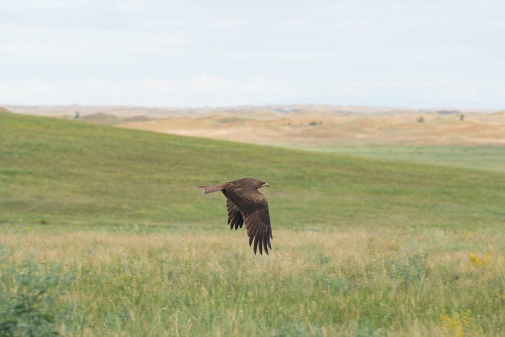 Photograph by Ольга Ли