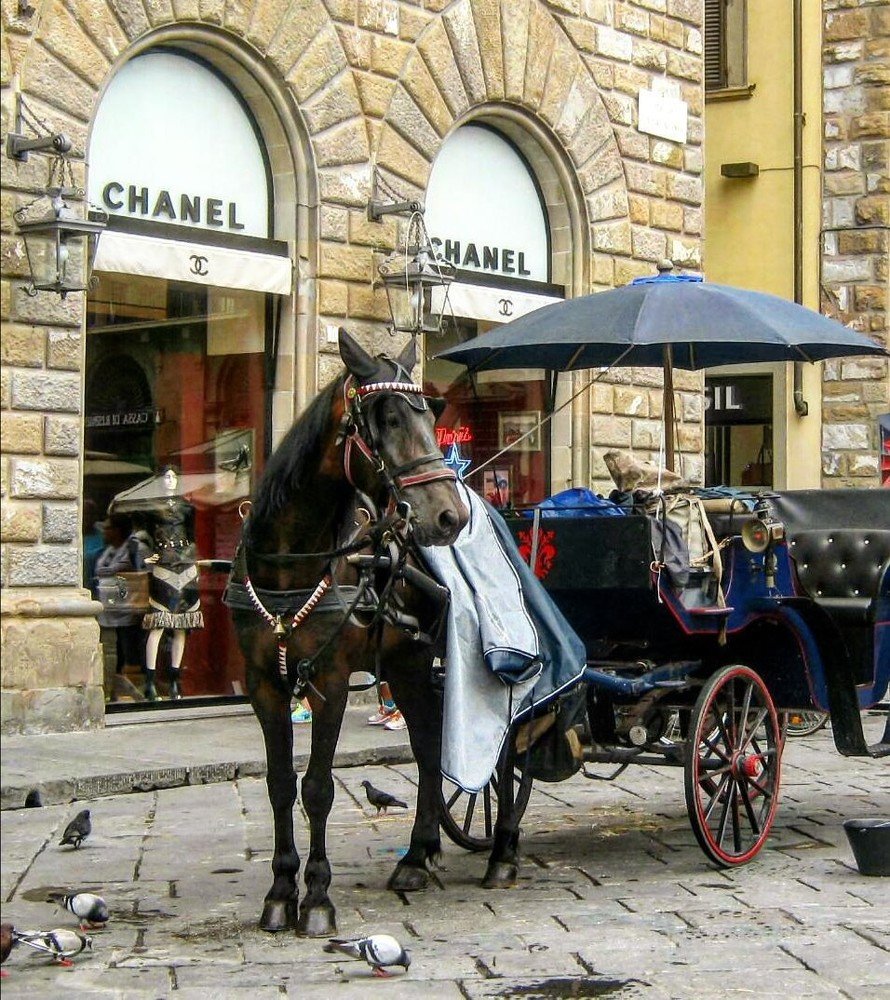 Миланские каникулы.