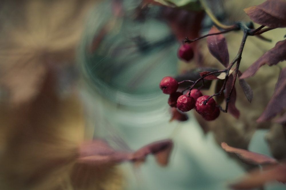 Photograph by Ксения Артемьева