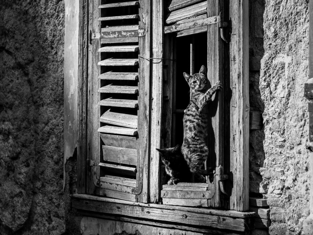 Photograph by Георгий Акопджанов