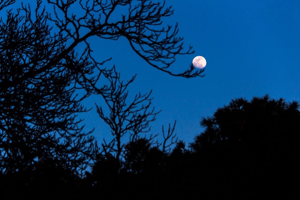 Photograph by Alireza Zahiri Sorouri