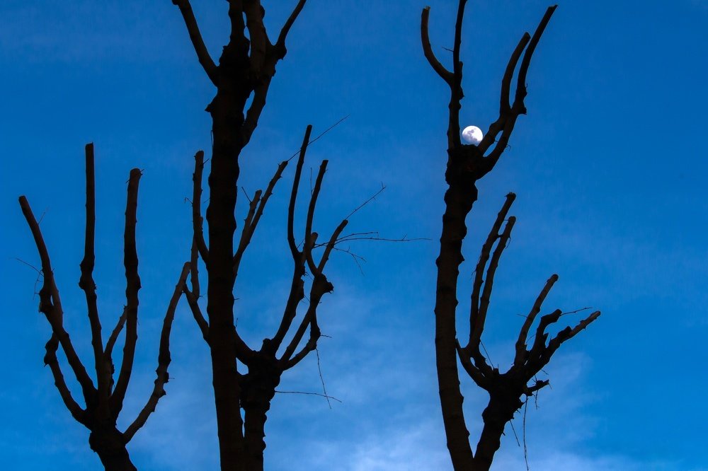 Photograph by Alireza Zahiri Sorouri