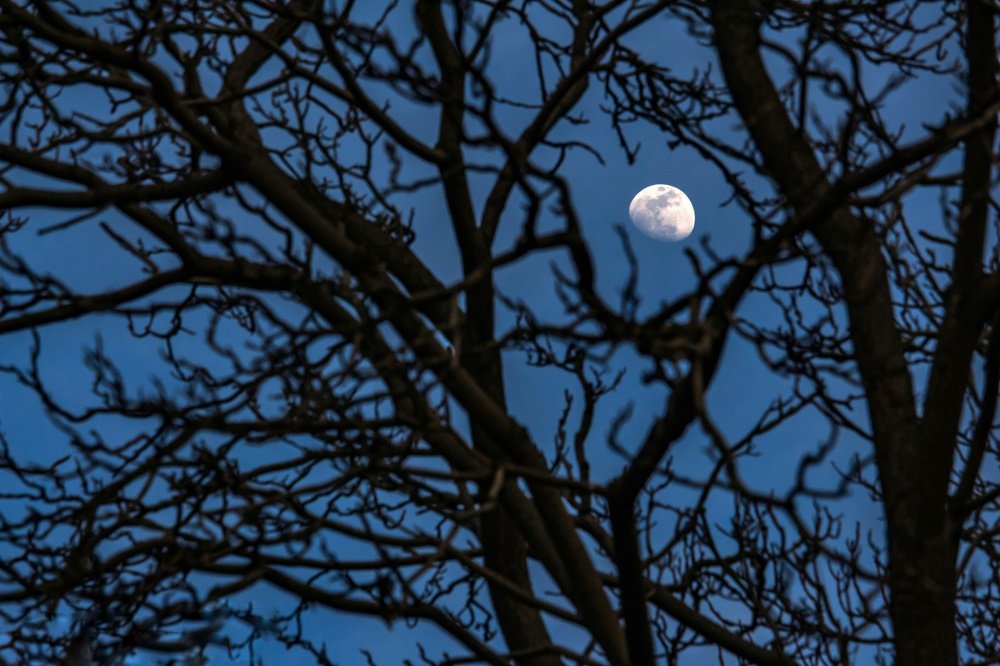 Photograph by Alireza Zahiri Sorouri