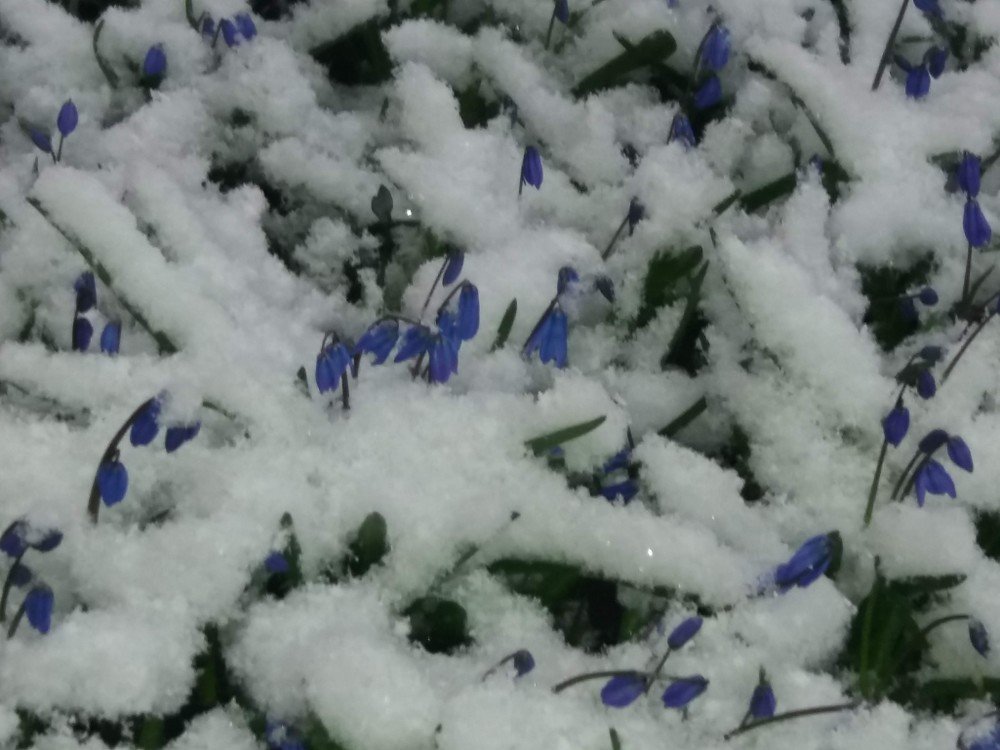 Photograph by Елена Грошева