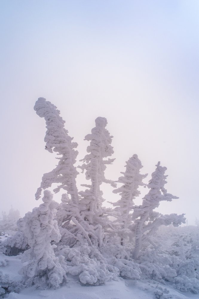 Снежные призраки Таганая