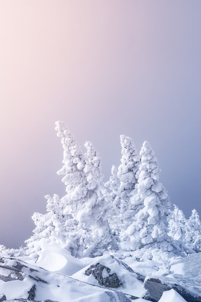 Photograph by Кирилл