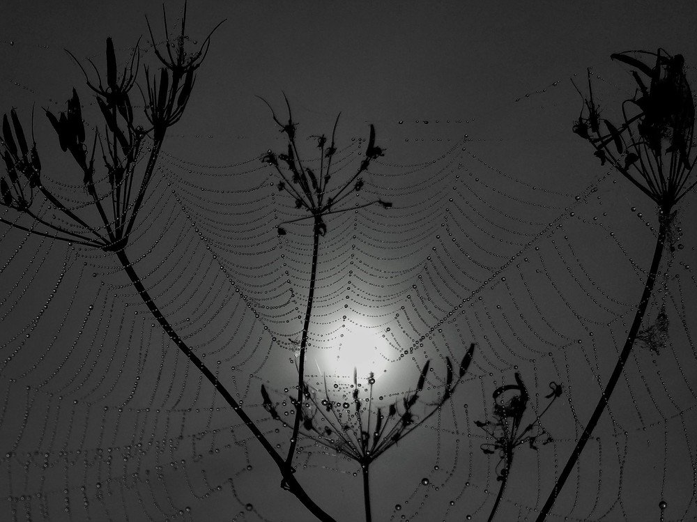 Photograph by Екатерина Харитонова