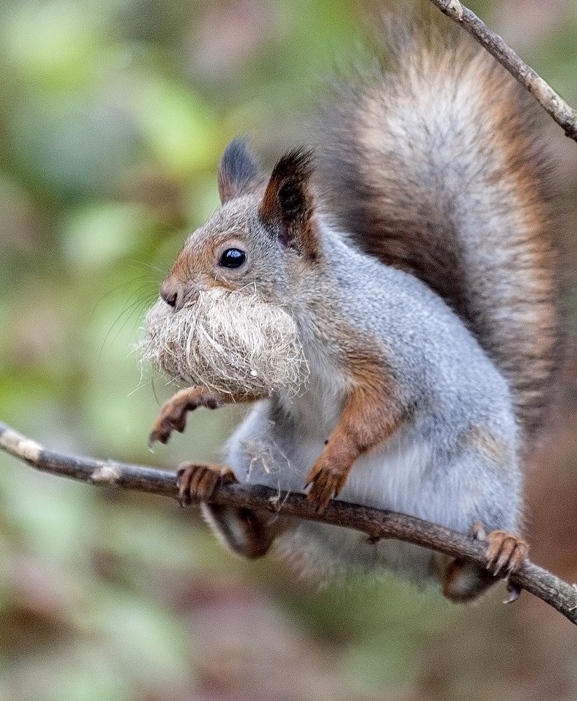 Photograph by Ольга Дядченко