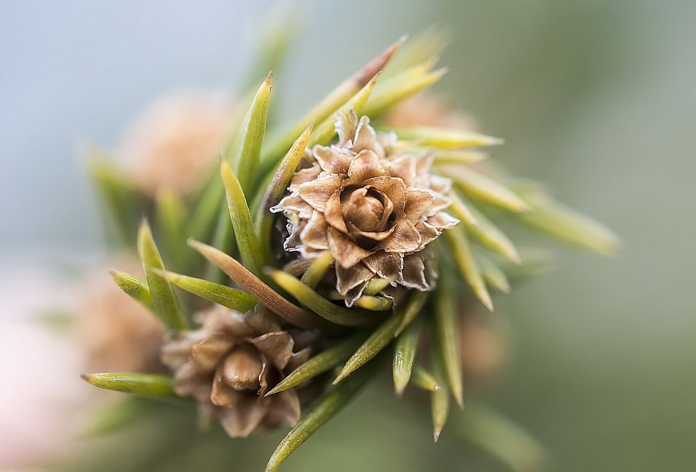 В завихрении.