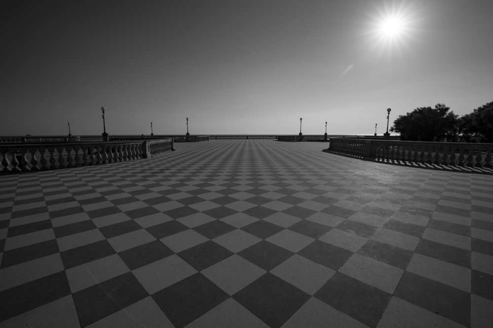 Photograph by Дмитрий Сазонов