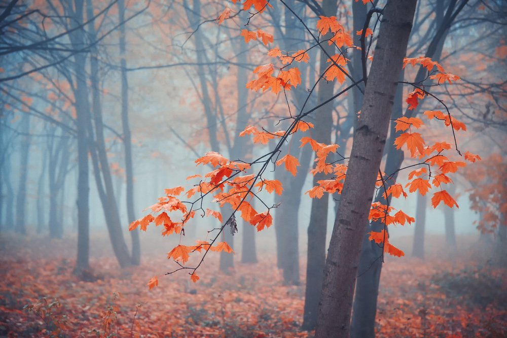 Photograph by Martin Vysoudil