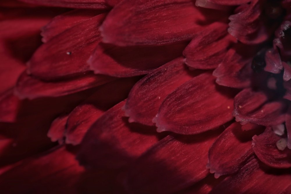 Photograph by  Janardanan