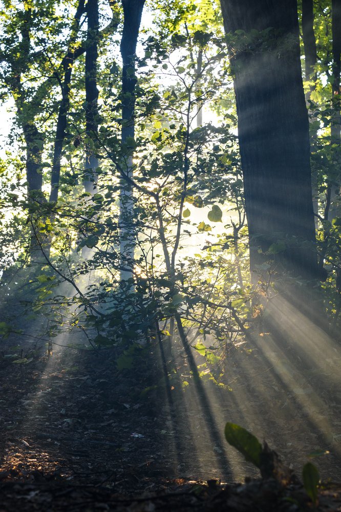 Photograph by Кирилл