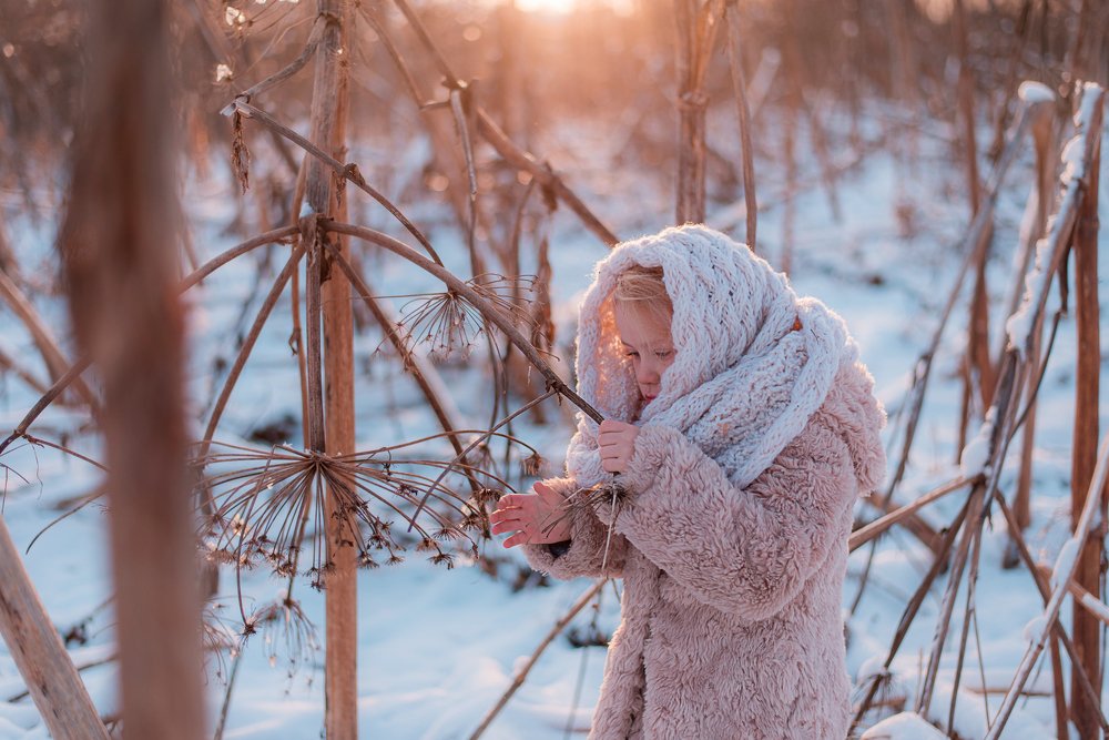 Photograph by Кирилл Бутлович