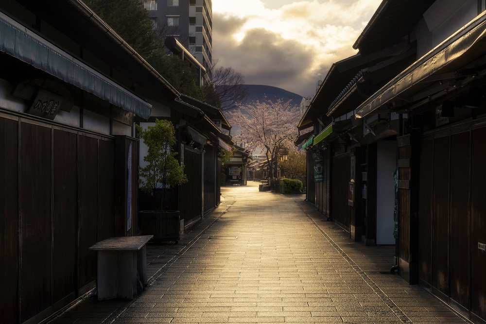 The way of the samurai