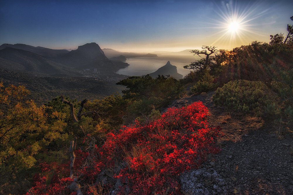 Photograph by АНАТОЛИЙ ДОВЫДЕНКО