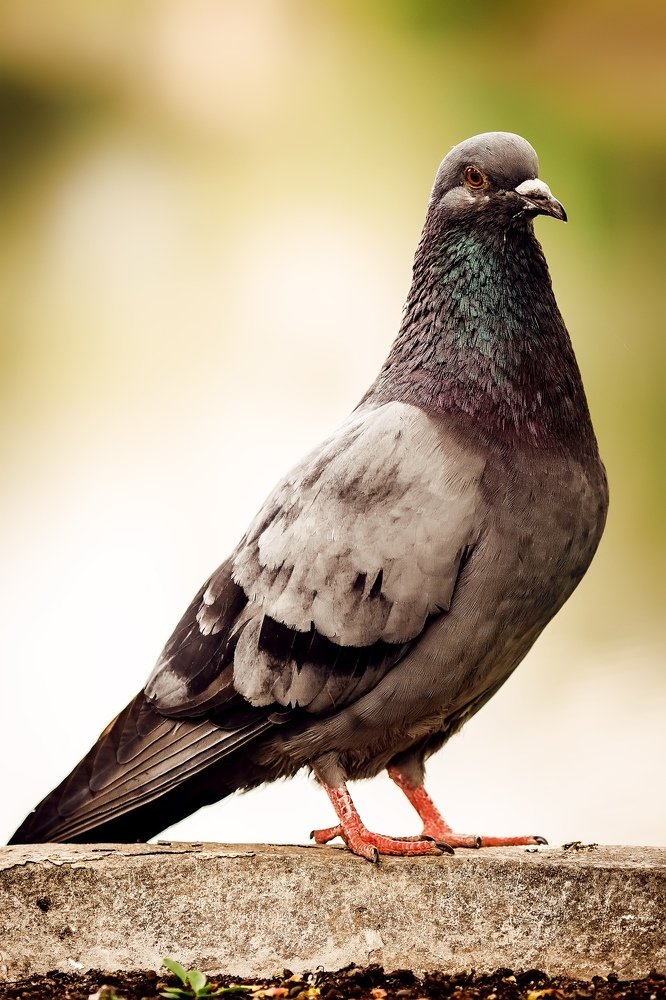 Photograph by Саша Матвеев