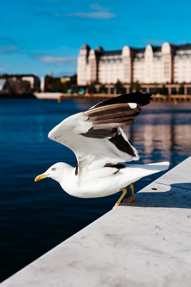 Photograph by Саша Матвеев