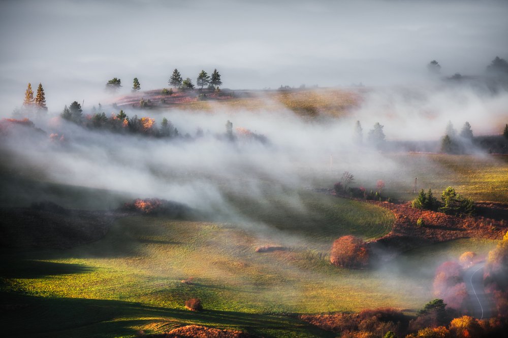 Photograph by Figat Marcin