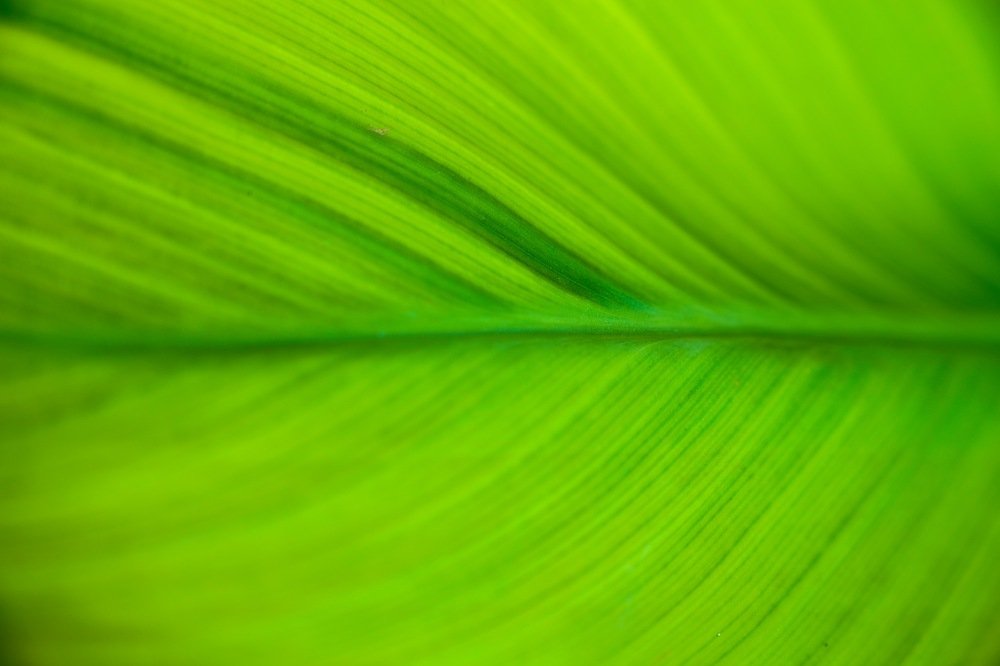 Photograph by Hedayatollah Eftekhari