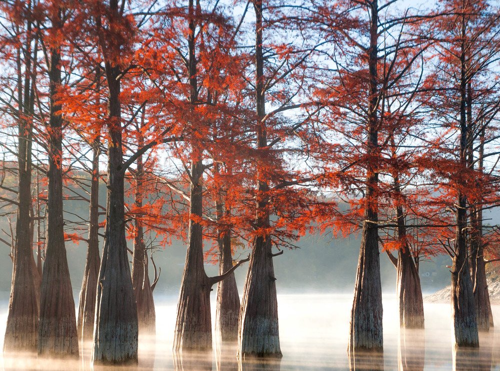 Photograph by Роман Кокорин