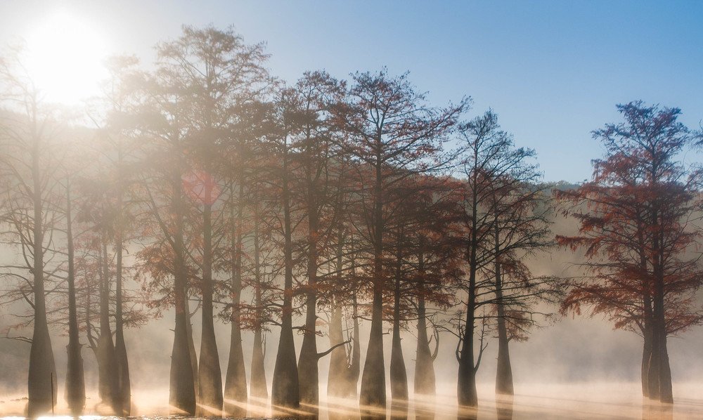 Photograph by Роман Кокорин