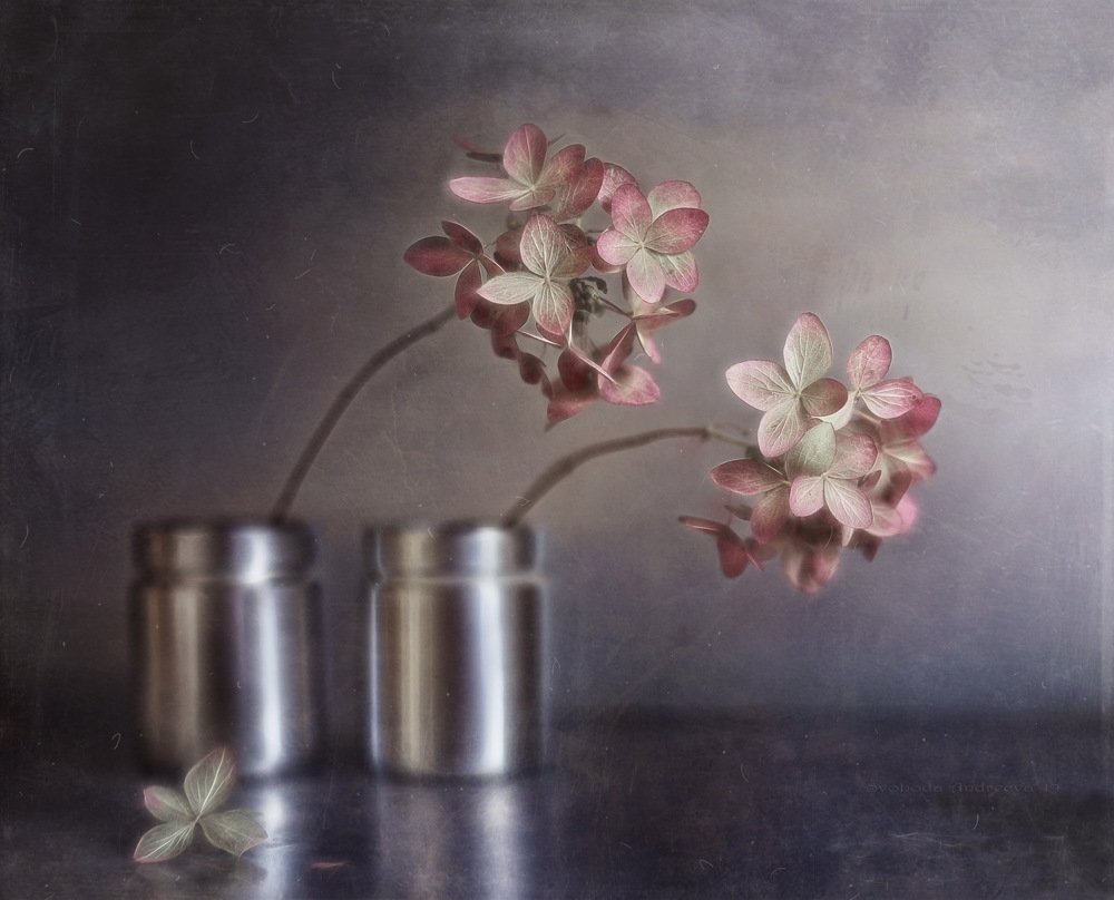 Photograph by Svoboda Andreeva