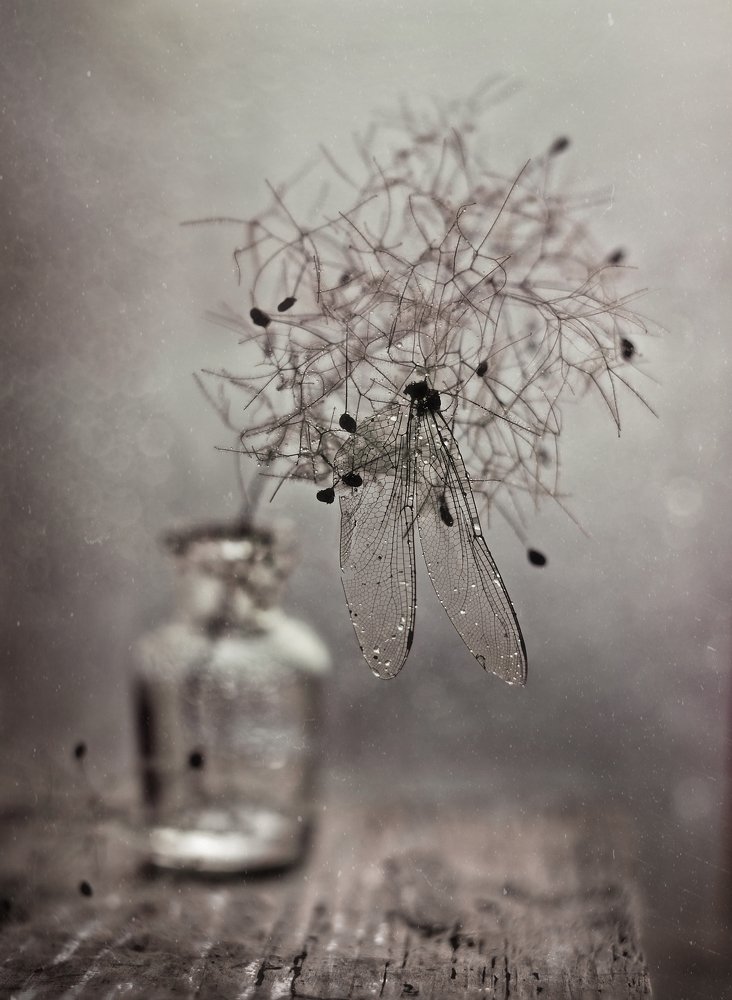 Photograph by Svoboda Andreeva