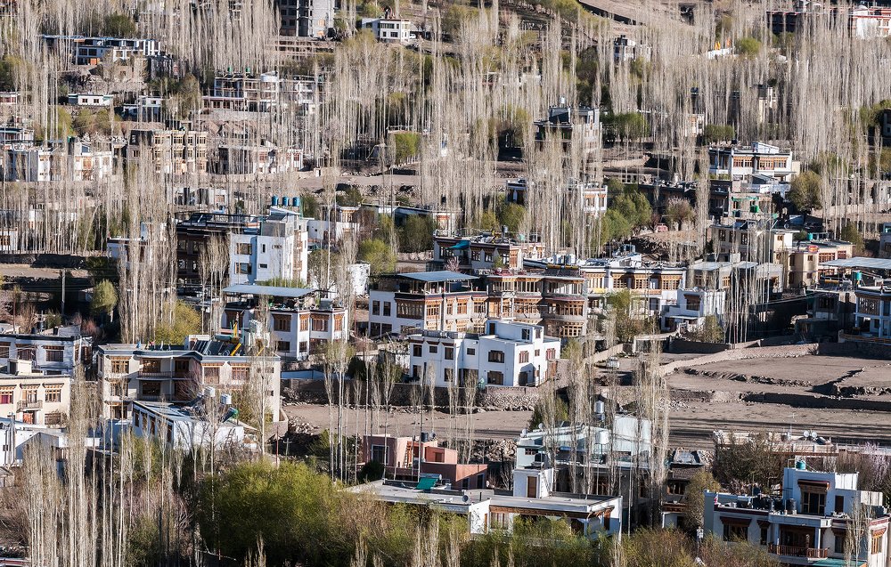 Photograph by Mai Duong