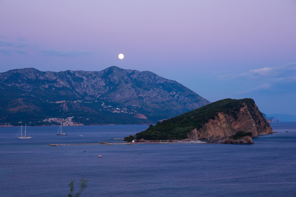 Фотография автора Андрей Шаповалов