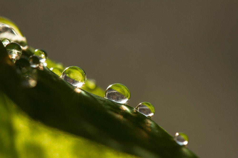 Photograph by Таня Короткова