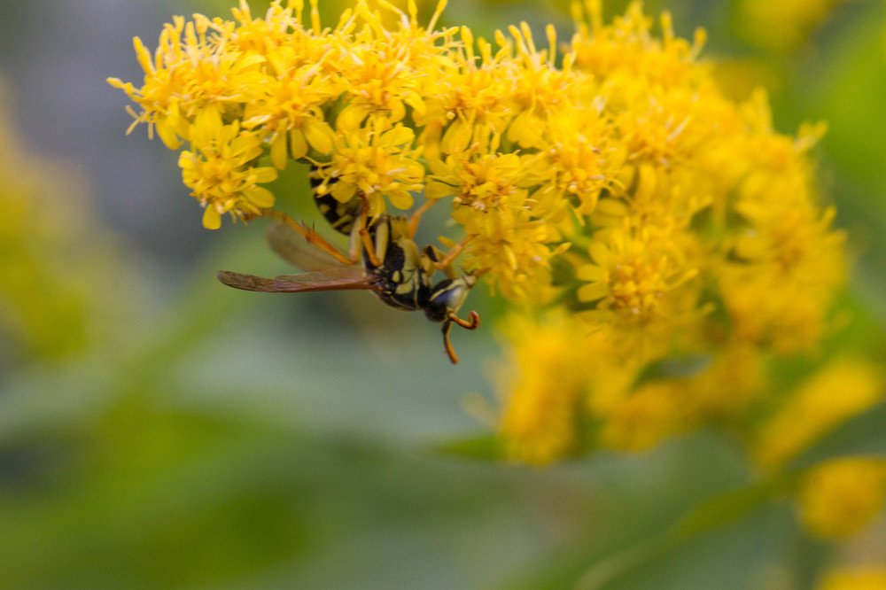 Photograph by Таня Короткова