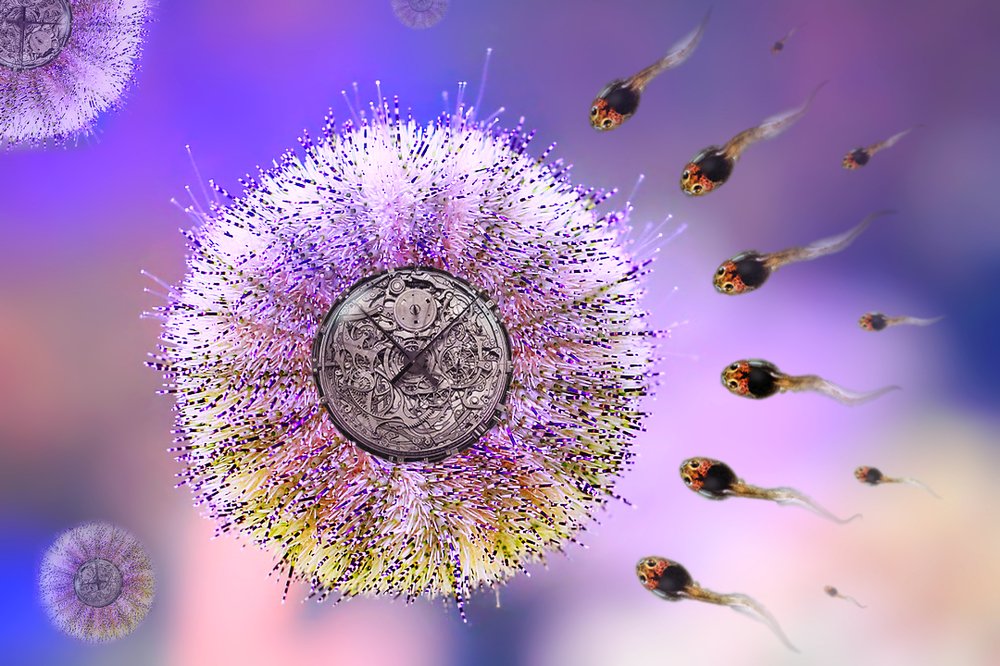 Ох уж эти сложные механизмы...