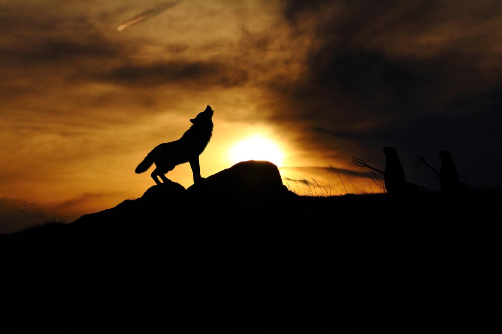 Незваный гость...