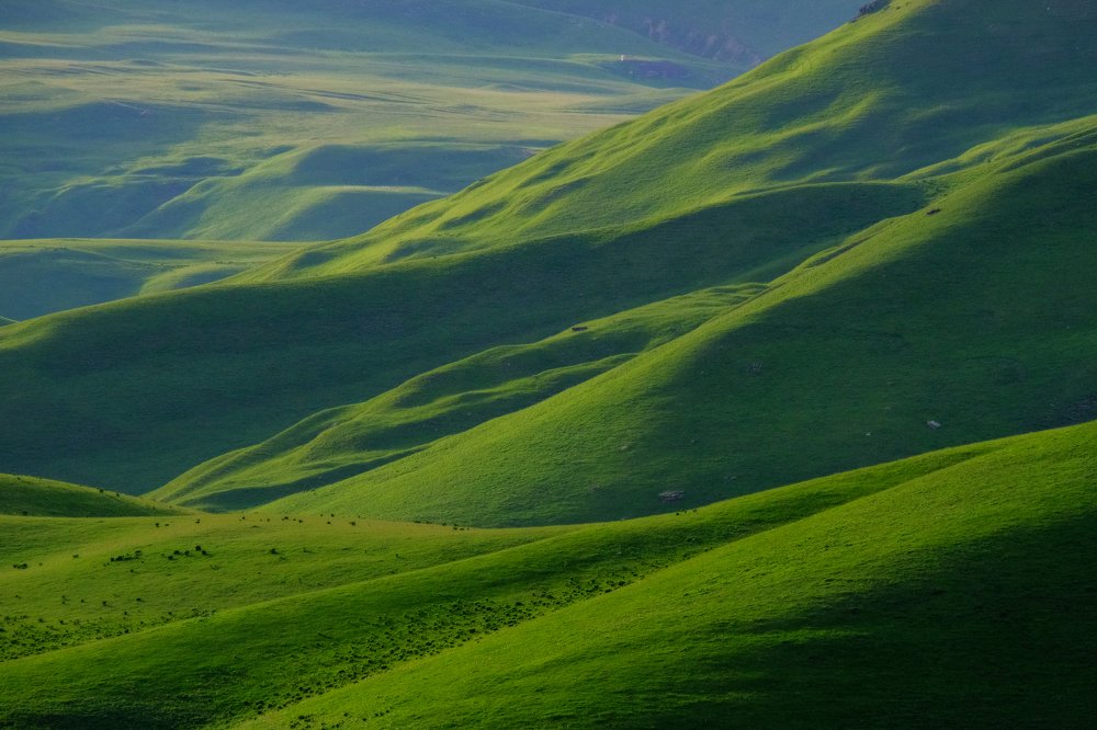 Photograph by Олеся Федосеенкова