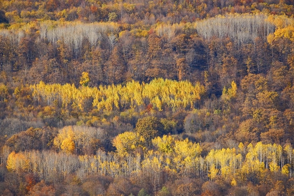 Photograph by Олеся Федосеенкова