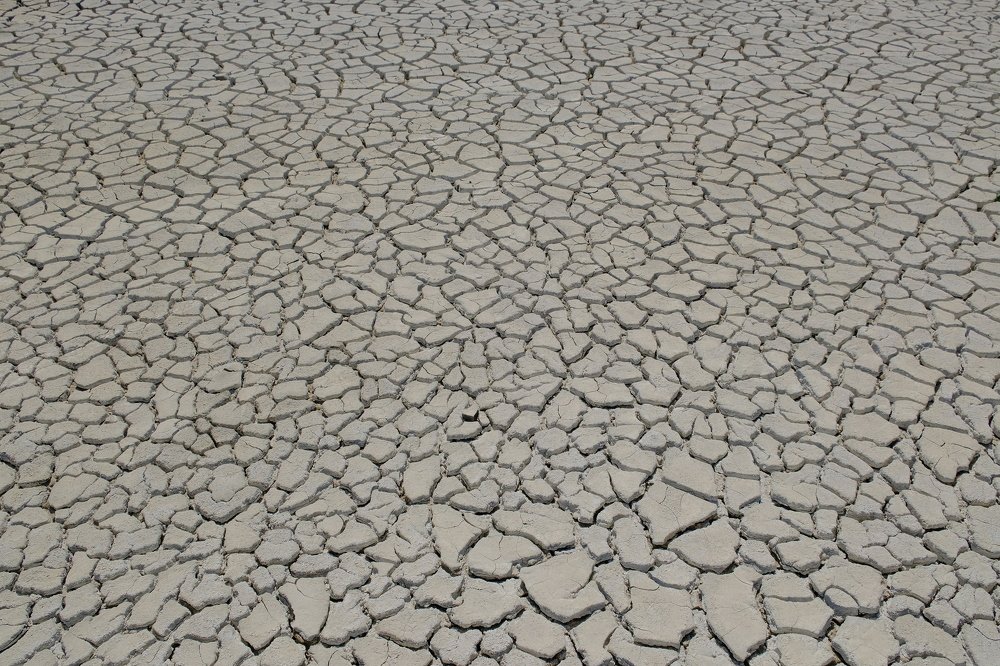 Photograph by Олеся Федосеенкова