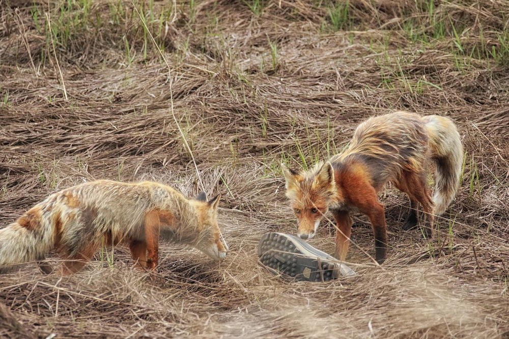 Photograph by Вадим Ньютон
