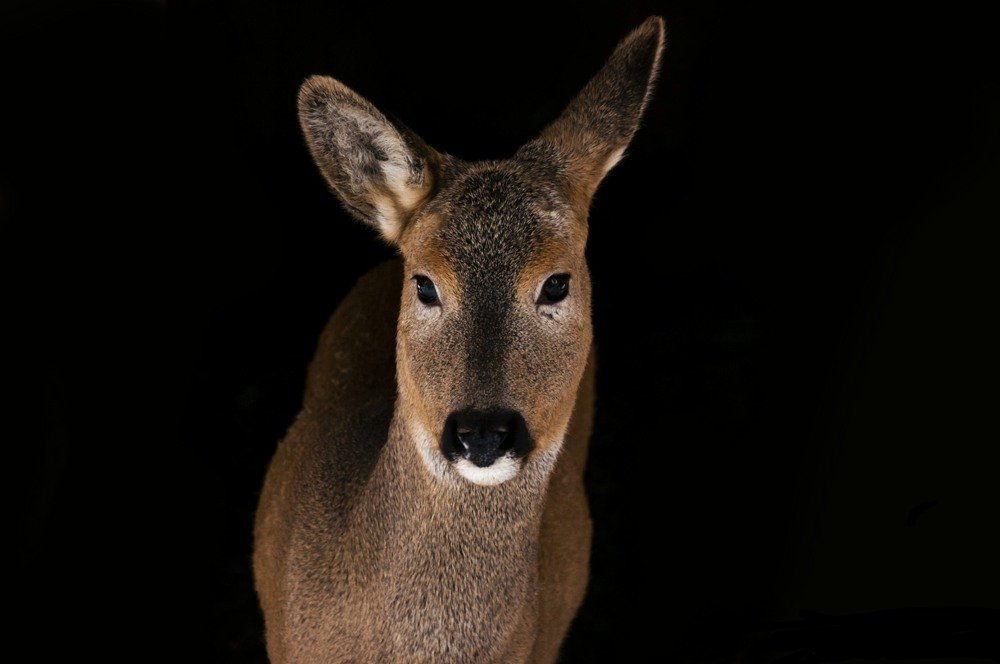 Photograph by Roman Volodin