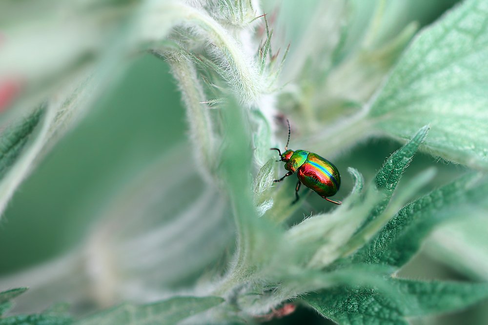 Поскользнулся, упал, очнулся в сказке...