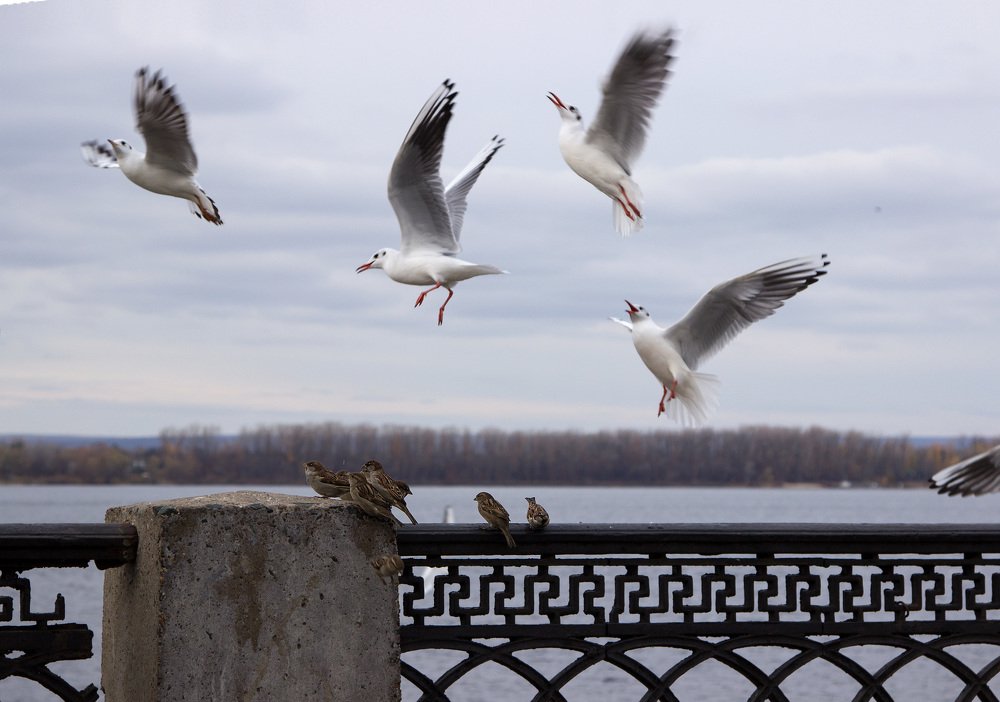 Photograph by Ольга