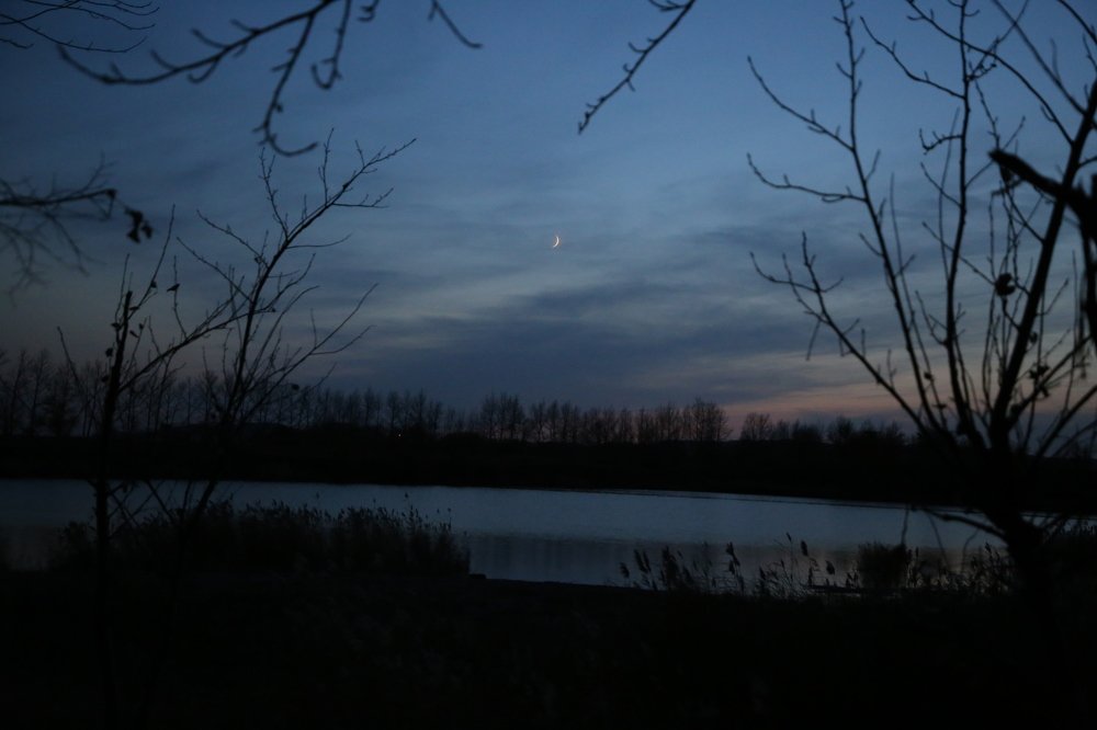 Photograph by Ольга Соколова