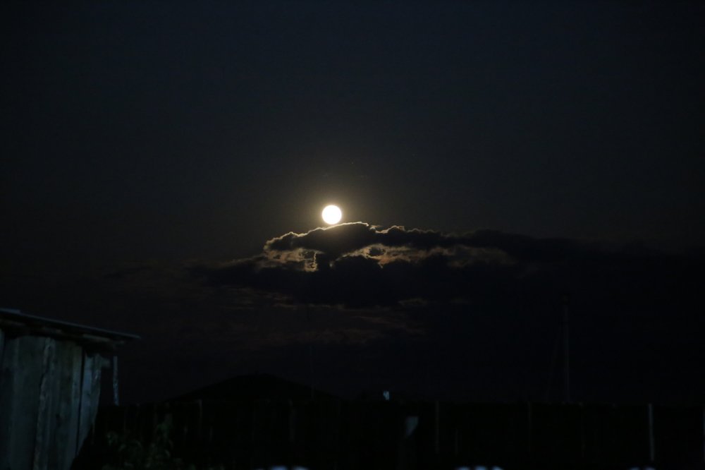 Photograph by Ольга Соколова