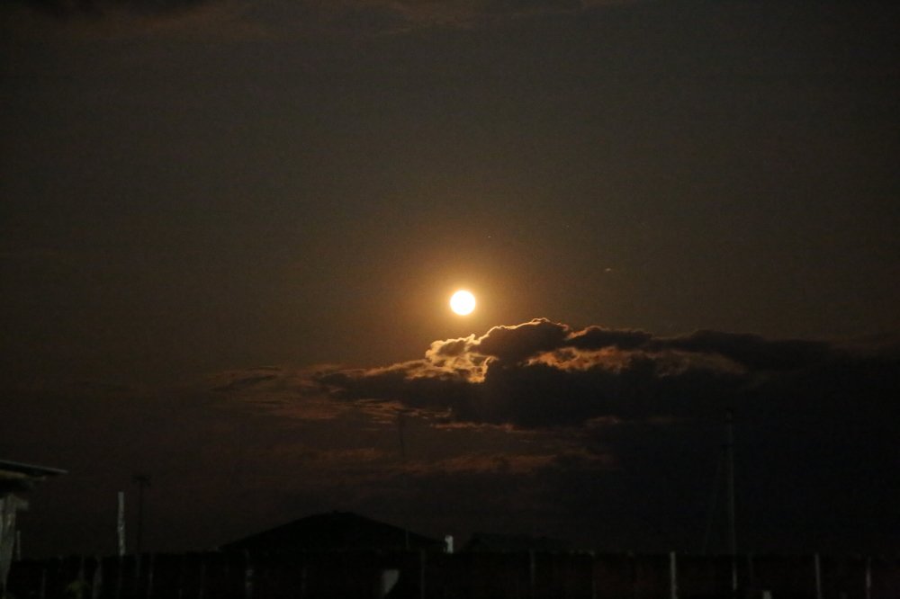 Photograph by Ольга Соколова