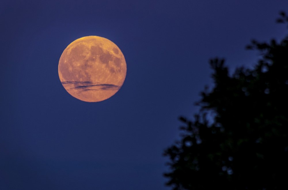 Photograph by Игорь Овсиенко