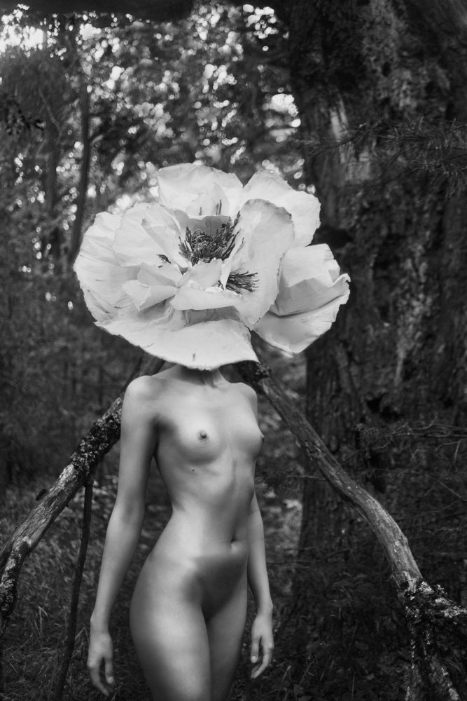 Photograph by Юлия Денишева