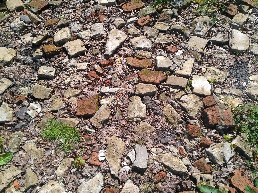 Фотография автора Анна Матвеева